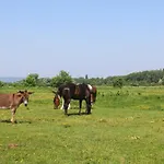 Gyulavezér Lovasbirodalma Vendégháza