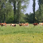 Pensión Gyulavezér Lovasbirodalma Vendégháza 3*
