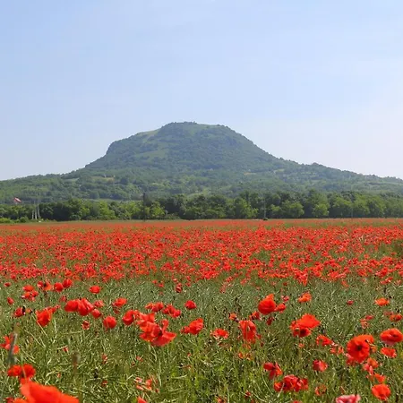 Penzion Gyulavezer Lovasbirodalma Vendeghaza Gyulakeszi