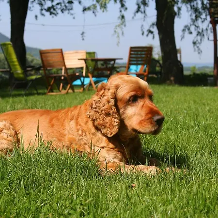 Penzion Gyulavezer Lovasbirodalma Vendeghaza Gyulakeszi