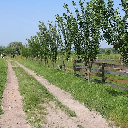 Gyulavezer Lovasbirodalma Vendeghaza 3*