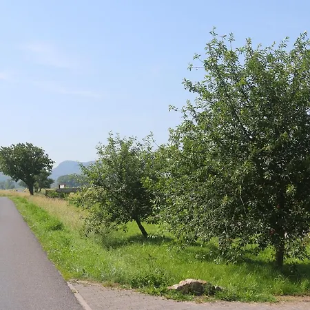 Gyulavezer Lovasbirodalma Vendeghaza