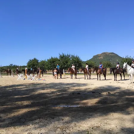 Penzion Gyulavezer Lovasbirodalma Vendeghaza 3*