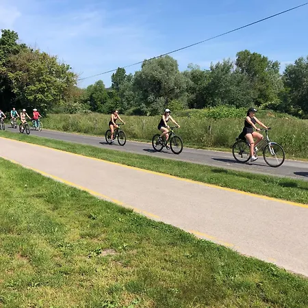 Gyulavezer Lovasbirodalma Vendeghaza Penzion