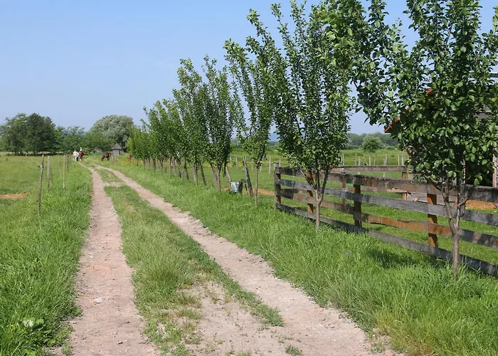 Gyulavezer Lovasbirodalma Vendeghaza 3*