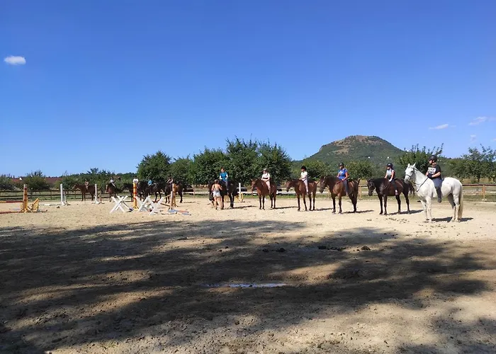 بيت ضيافة Gyulavezer Lovasbirodalma Vendeghaza 3*