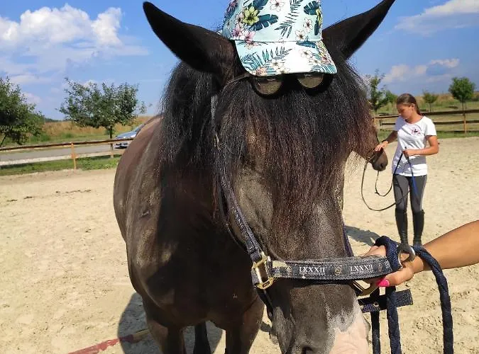 Gyulavezer Lovasbirodalma Vendeghaza بيت ضيافة Gyulakeszi